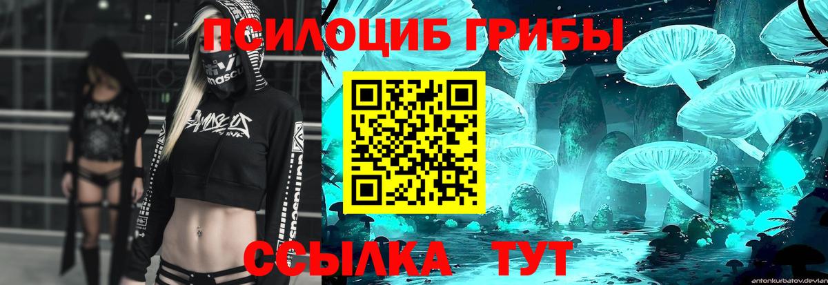 Галлюциногенные грибы Psilocybine cubensis  Псилоцибиновые грибы ЛСД  Вход с VPN  Кирово-Чепецк 